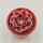 Aeonium Wheels of Admiration - 6cm
