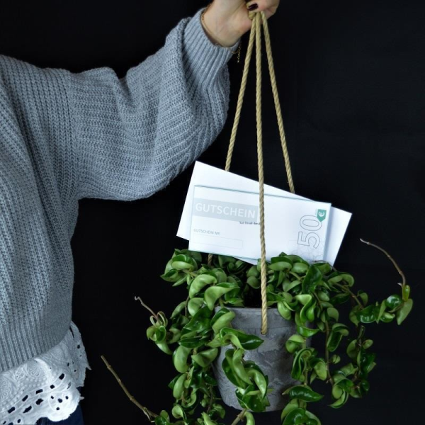 Geschenkset - Hoya