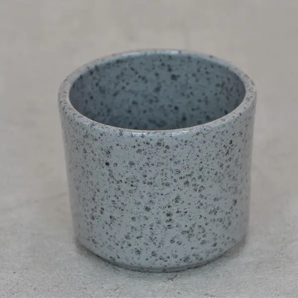 Sprinkle Party für 6cm Sukkulenten